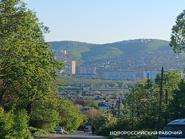 Советы дня на 28 октября: о бабушках и дедушках, любителях плюшевых животных и цветной фотографии Советы дня на 28 октября: о бабушках и дедушках, любителях плюшевых животных и цветной фотографии