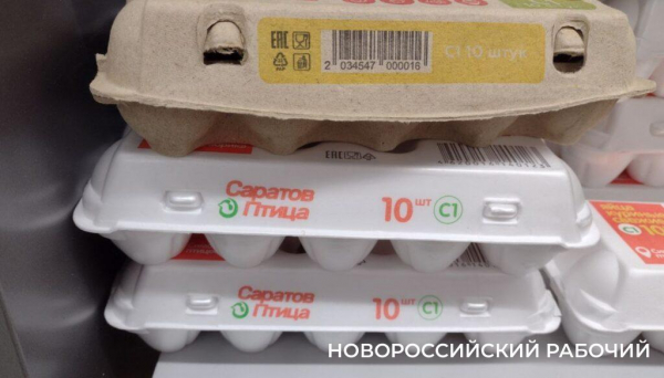 В Новороссийске рекордно упали цены на яйца. Кому сказать «спасибо»?