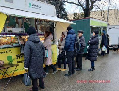 На сельхозярмарке Новороссийска выстраивались очереди за молоком и заморскими орехами На сельхозярмарке Новороссийска выстраивались очереди за молоком и заморскими орехами