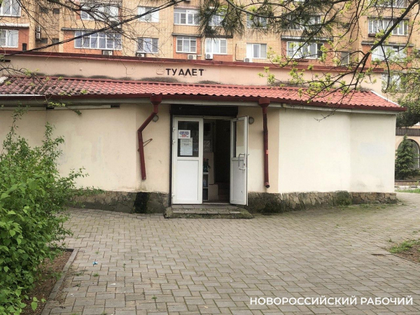 15 см в одни руки? В Новороссийске выдача бумаги в общественных туалетах регламентирована?