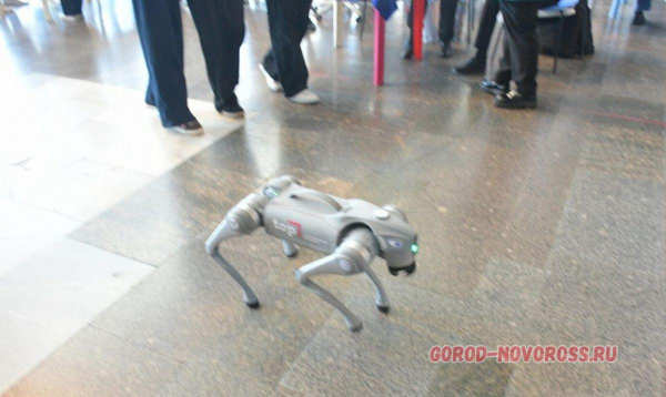 Где в Новороссийске можно заработать до 100 тысяч в месяц