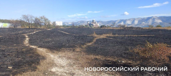 В Новороссийске потушили пожар в окрестностях особо охраняемой территории
