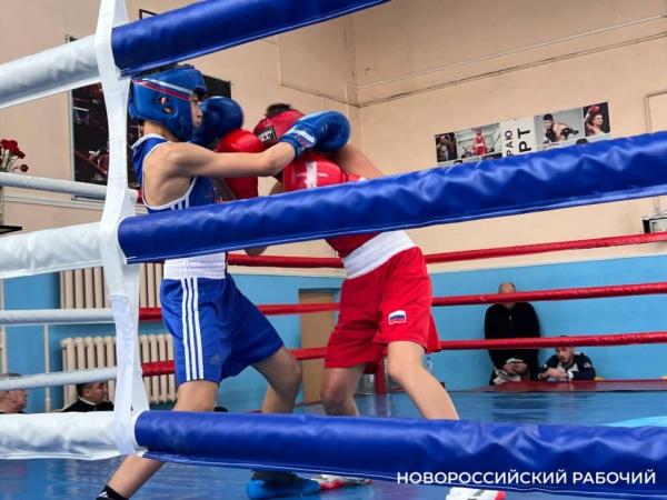 В Новороссийске начал работу благотворительный фонд «Новороссийск – город спорта»