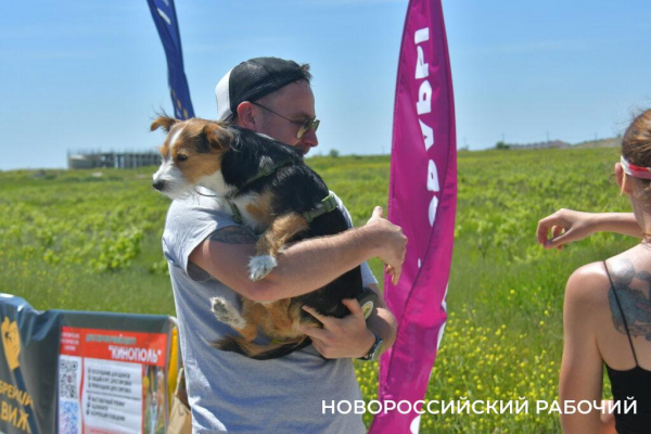 В Новороссийске героиней забега стала собачка на трех лапках