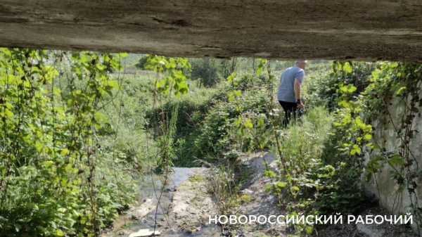 Дальнобойщики под Новороссийском устроили убежище на случай атаки БПЛА