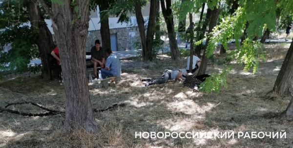 Пьют и матерятся на глазах у детей! В Новороссийске аллея рядом с детсадом и  школой превратилась в забегаловку