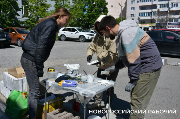 Сегодня стену в Новороссийске «расписали» мозаичными птицами. Они тоже люди!
