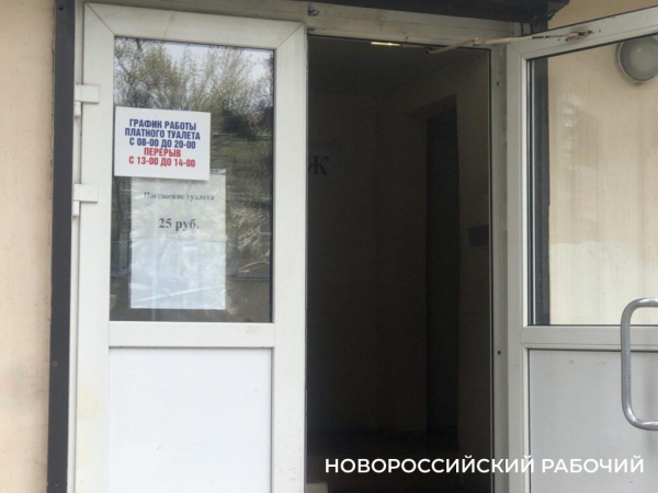 15 см в одни руки? В Новороссийске выдача бумаги в общественных туалетах регламентирована?