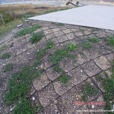 Трава вокруг стелы в Новороссийске будет долго прорастать после рулонного газона
