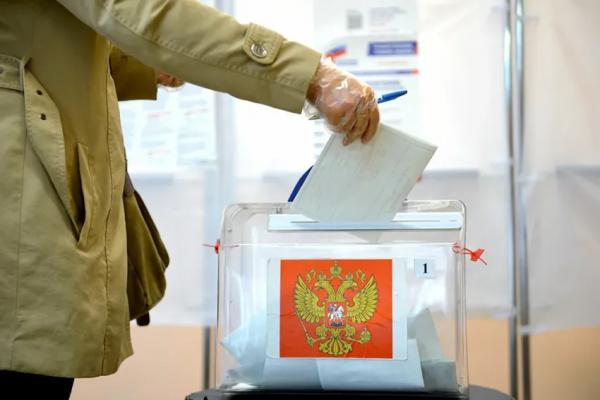 Выборы депутатов Гордумы Новороссийска: выдвинуто шесть кандидатур