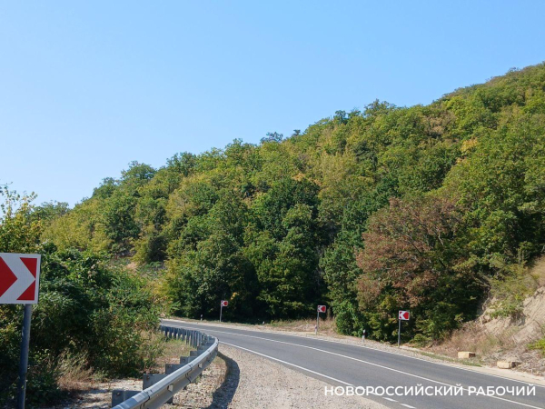 В Новороссийске погибла женщина-водитель, врезавшись в ограждение В Новороссийске погибла женщина-водитель, врезавшись в ограждение