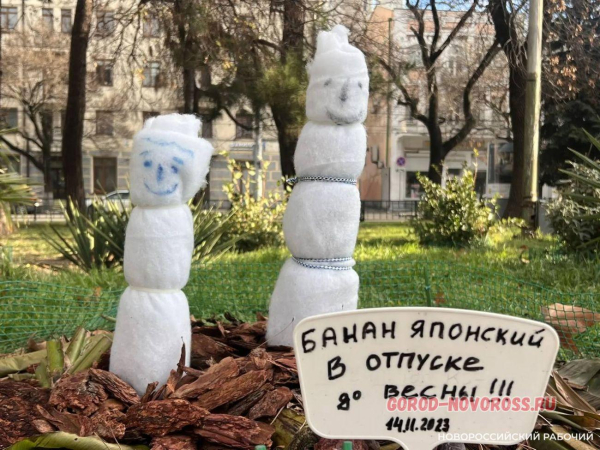 Какая зима – такие и снежные бабы! В Новороссийске появились «банановые снеговики» Какая зима – такие и снежные бабы! В Новороссийске появились «банановые снеговики»