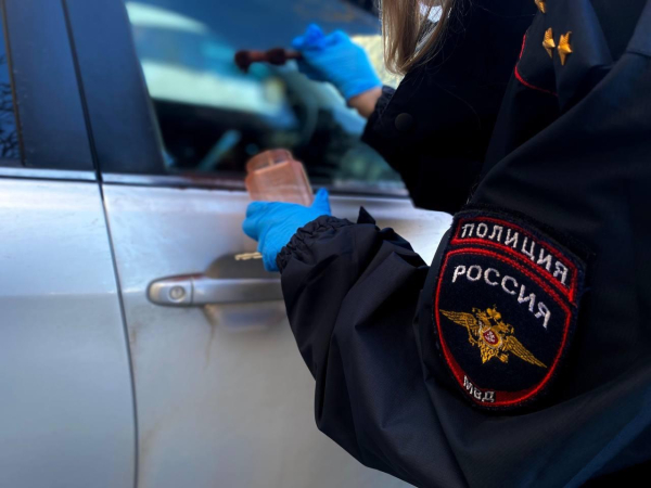 В Новороссийске впервые зафиксировали снижение дистанционных мошенничеств
