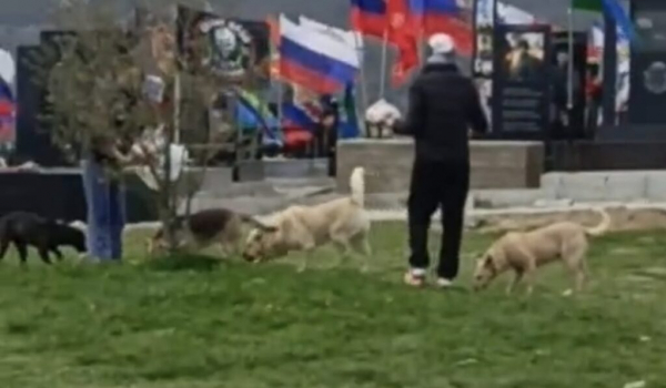 В Новороссийске продолжают благоустраивать Аллею Славы, где похоронены участники СВО