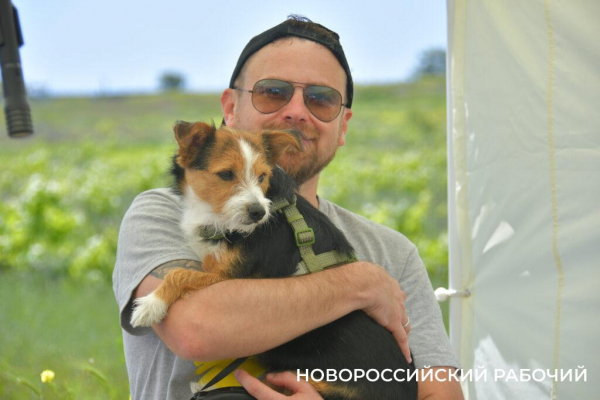 В Новороссийске героиней забега стала собачка на трех лапках
