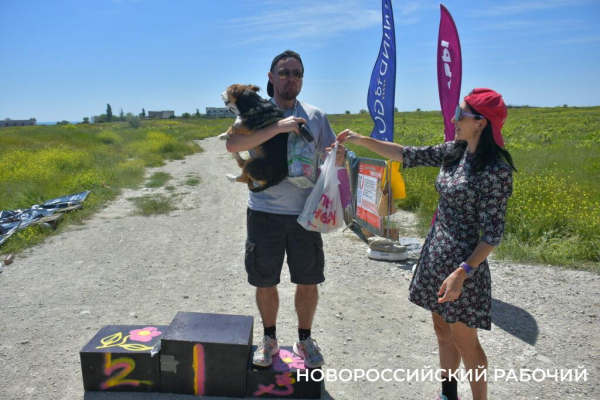 В Новороссийске героиней забега стала собачка на трех лапках