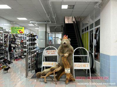 «Из-за таких, как ты, мы и закроемся!» Вещевому рынку в Новороссийске дают год