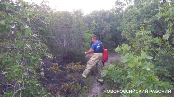 В Новороссийске на Колдуне после шашлыков загорелась трава