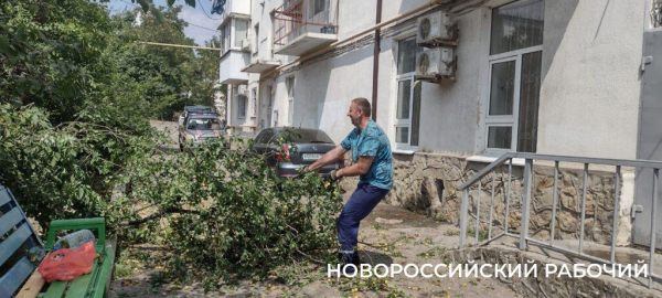 Пекло, а они работают! В Новороссийске горожан спасают от змей и небывалого урожая  
