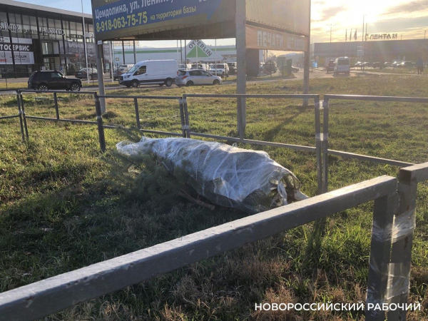 В Новороссийске определили места для сдачи старых новогодних елок В Новороссийске определили места для сдачи старых новогодних елок