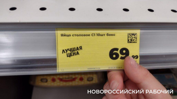 В Новороссийске рекордно упали цены на яйца. Кому сказать «спасибо»?