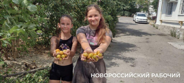 Пекло, а они работают! В Новороссийске горожан спасают от змей и небывалого урожая  
