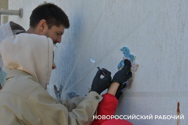 Сегодня стену в Новороссийске «расписали» мозаичными птицами. Они тоже люди!