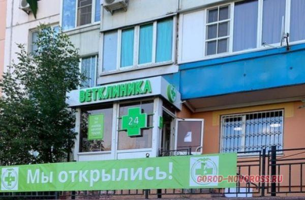 В Новороссийске бизнес вкладывается в магазины, студии массажа и ветклиники