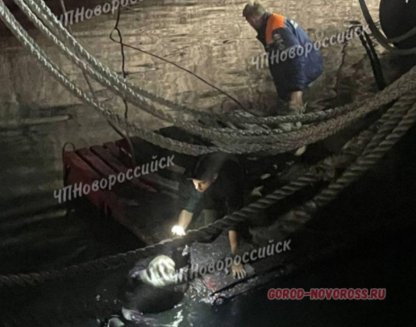 В Новороссийске женщина упала в воду возле носа «Кутузова» В Новороссийске женщина упала в воду возле носа «Кутузова»