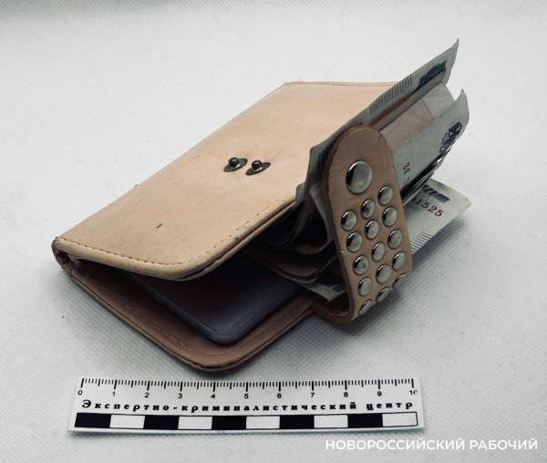 В Новороссийске приезжий похитил сумку прихожанки храма В Новороссийске приезжий похитил сумку прихожанки храма