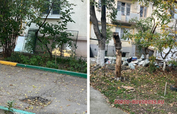 Так жить нельзя: жительница Новороссийска возмущена замусоренной территорией двора