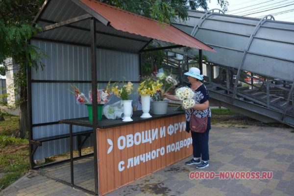 В Новороссийске появится еще один социальный ряд