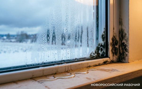 Почему потеют окна и при чем тут плесень? Простое объяснение Почему потеют окна и при чем тут плесень? Простое объяснение
