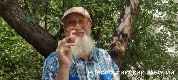 Пекло, а они работают! В Новороссийске горожан спасают от змей и небывалого урожая  