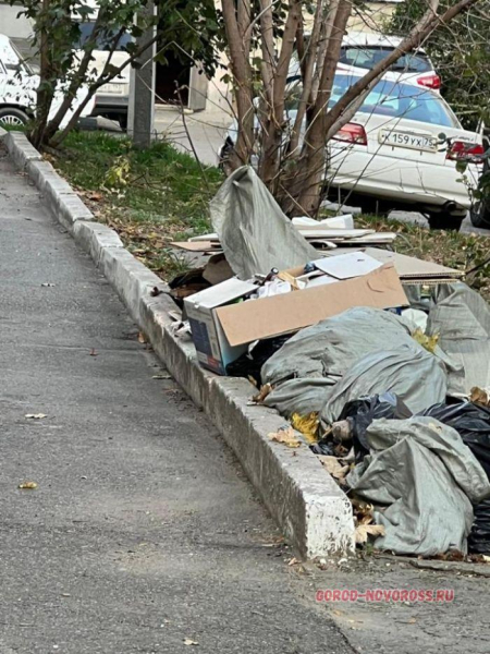 Так жить нельзя: жительница Новороссийска возмущена замусоренной территорией двора