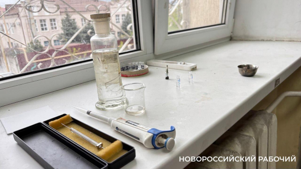 В Новороссийске у тайника задержали приезжего с «синтетикой»