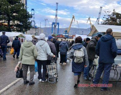 На сельхозярмарке Новороссийска выстраивались очереди за молоком и заморскими орехами На сельхозярмарке Новороссийска выстраивались очереди за молоком и заморскими орехами