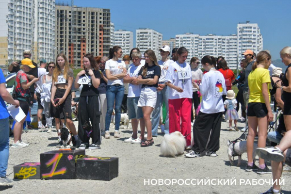 В Новороссийске героиней забега стала собачка на трех лапках
