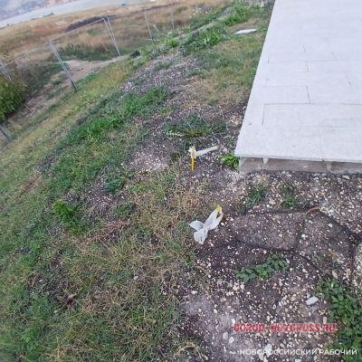 Трава вокруг стелы в Новороссийске будет долго прорастать после рулонного газона Трава вокруг стелы в Новороссийске будет долго прорастать после рулонного газона