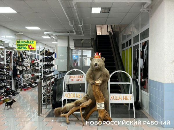 «Из-за таких как ты, мы и закроемся!» Вещевому рынку в Новороссийске дают год