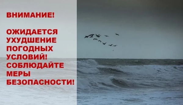  Опасная погода: на Кубани прогнозируют усиление ветра до 28 м/с 