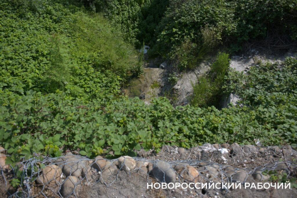 Дальнобойщики под Новороссийском устроили убежище на случай атаки БПЛА
