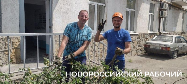 Пекло, а они работают! В Новороссийске горожан спасают от змей и небывалого урожая  