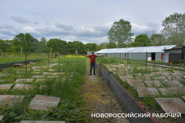 Сезон редчайшего деликатеса начался на ферме под Новороссийском — улитки мечут икру