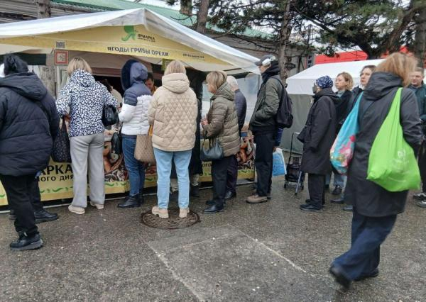 На сельхозярмарке Новороссийска выстраивались очереди за молоком и заморскими орехами На сельхозярмарке Новороссийска выстраивались очереди за молоком и заморскими орехами