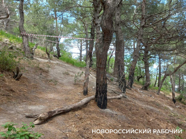 На Колдуне в Новороссийске загорелась сухая трава