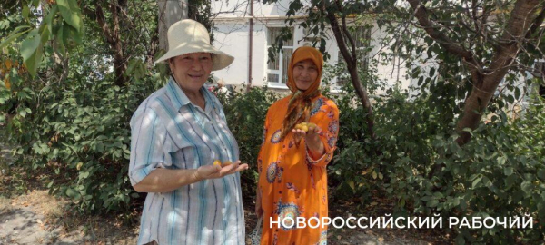 Пекло, а они работают! В Новороссийске горожан спасают от змей и небывалого урожая  