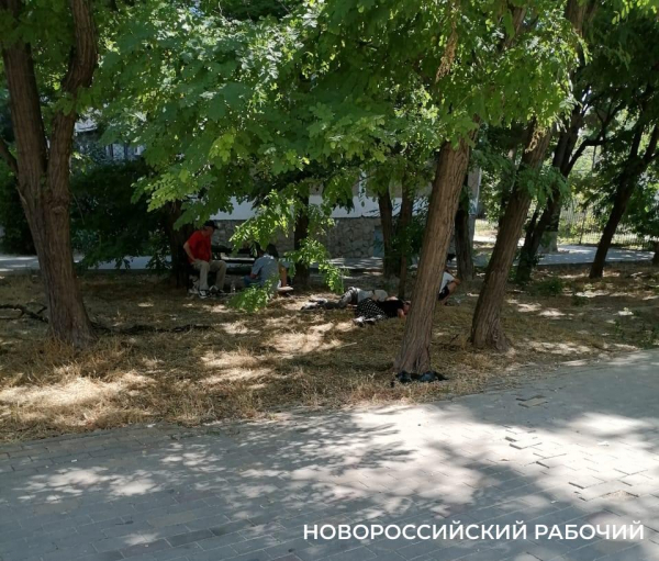 Пьют и матерятся на глазах у детей! В Новороссийске аллея рядом с детсадом и  школой превратилась в забегаловку