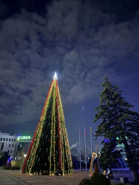 В новогоднюю ночь полицейские будут дежурить у городских елок Новороссийска В новогоднюю ночь полицейские будут дежурить у городских елок Новороссийска