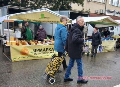 На сельхозярмарке Новороссийска выстраивались очереди за молоком и заморскими орехами На сельхозярмарке Новороссийска выстраивались очереди за молоком и заморскими орехами